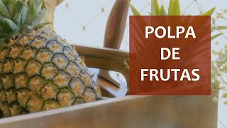 POLPA DE FRUTA CASEIRA  Faça polpa e tenha sempre suco natural em casa 52 [upl. by Shayna]