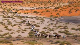 Touareg Music  Sahara desert Music [upl. by Nawotna]