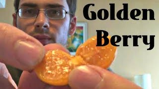 Goldenberry Review  Weird Fruit Explorer  Episode 16 [upl. by Esydnac809]