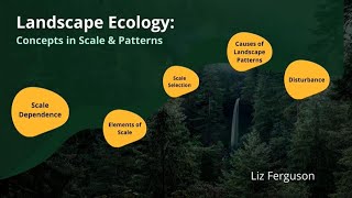 Landscape Ecology Concepts in Scale and Pattern [upl. by Norbert]