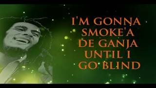 bob marley  ganja gun lyrics [upl. by Reginauld]