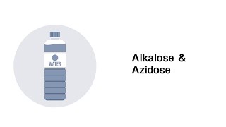 Alkalose amp Azidose  Störungen des SäureBasenHaushalts [upl. by Hough]