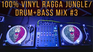 100 Vinyl  Ragga JungleDrum amp Bass Mix 3  2019 [upl. by Salta]