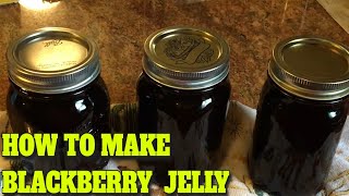 BLACKBERRY JELLY  STEP BY STEP  EASY…DELICIOUS RECIPE [upl. by Ennyletak151]