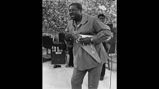 Albert King  Grant Park  Chicago Blues Festival  61168 SBD  Full Concert [upl. by Sitoeht]