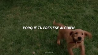 MUSICOTERAPIA Para Gatos Y Perros Inquietos O Nerviosos 💛 Dulce Música Y Ondas Delta Para Dormir [upl. by Akaenahs]