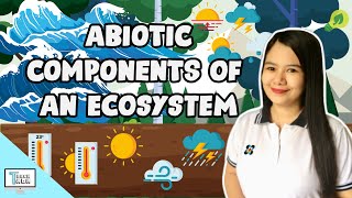 Abiotic Components of an Ecosystem  Biology [upl. by Dulla]