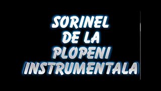 SORINEL DE LA PLOPENI INSTRUMENTALA MANEA CRIMINALA SUPER DE DANS [upl. by Gordie]