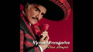 Vicente Fernández  Un Millón De Primaveras Cover Audio [upl. by Deina116]