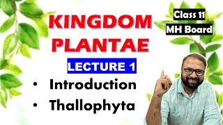 Thallophyta Kingdom Plantae Lecture 1  Class 11 Biology  Maharashtra State Board [upl. by Ainel]