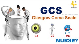 Glasgow Coma Scale Assessment GCS [upl. by Narmak701]