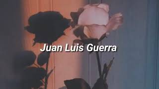 Te regalo una rosa letra lyricsJuan Luis Guerra [upl. by Sutherland835]