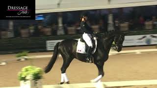 Carl Hester Masterclass The Flying Change in Dressage [upl. by Sitoiyanap]