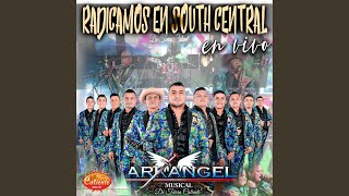 Radicamos en South Central [upl. by Dane]