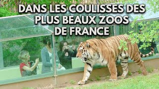 DANS LES COULISSES DES PLUS BEAUX ZOOS DE FRANCE THOIRY LA PALMYRE [upl. by Eadwina]