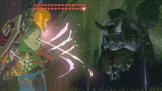 How to Duplicate Hearts and Stamina  Zelda BOTW [upl. by Wira529]