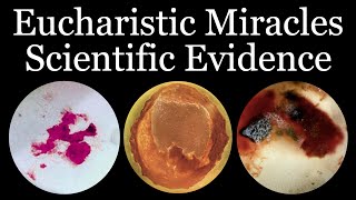 Scientific Evidence of Eucharistic Miracles  Inspired By Carlo Acutis [upl. by Drusus]