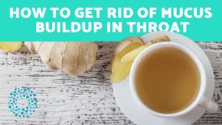 How to Get Rid of Mucus Buildup in Throat  Home Remedies [upl. by Weinert]