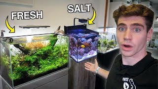 The BEST Aquariums in England Freshwater amp Saltwater [upl. by Mellins]