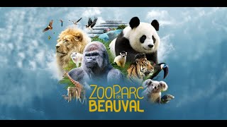 Zoo Parc de Beauval  Août 2020 [upl. by Areehs29]