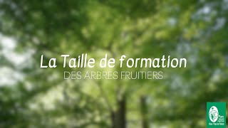 2 TAILLE DE FORMATION  Tutoriel [upl. by Wolram]