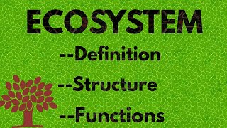 ECOSYSTEM  Definition  Structure And Functions [upl. by Netneuq]