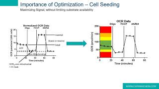 ​Tools for Characterizing Metabolic Change in CellBased Systems [upl. by Ayhtak]